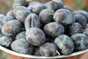 Prune Plums 2Ltr [2 ltr]