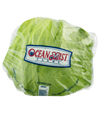 Lettuce Wrapped