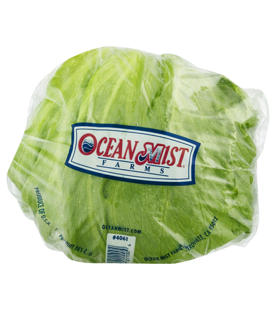 Lettuce Wrapped