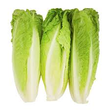 Romaine Hearts 3pk