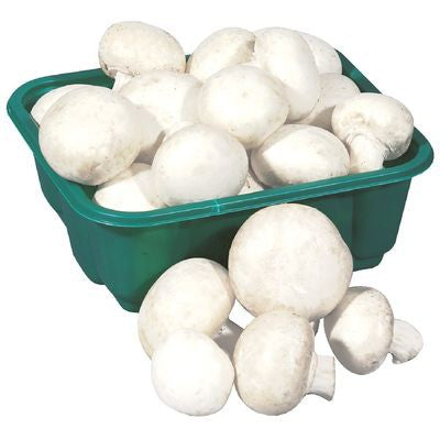 White Whole Mushrooms [227g]