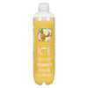 Sparkling Ice Water Coconut Pineapple [503ml]
