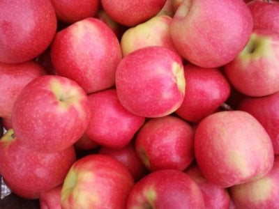Pink Lady Apples [3lb]