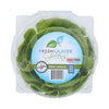 Living Butter Lettuce