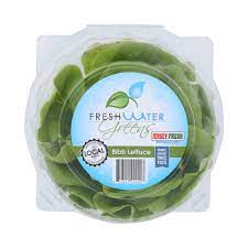 Living Butter Lettuce
