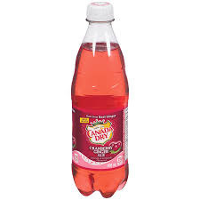 Canada Dry Cranberry [500ml]