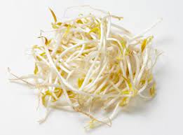 Bean Sprouts [340g]