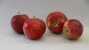 Apples Spartan