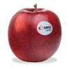 Cosmic Crisp Apples