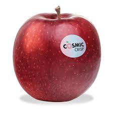 Cosmic Crisp Apples