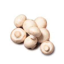 Bulk White Mushrooms