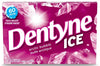 DentyneIceGumArcticBubble
