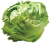 Lettuce Wrapped