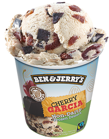BenCherryGarciaNonDairyDessert [473ml]