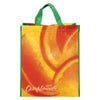 Comp Reusable Bag 3 Fruit