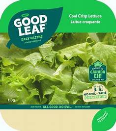 Goodleaf Cool Crisp Lettuce [113g]
