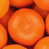 Chinese Mandarin Oranges [5lb]
