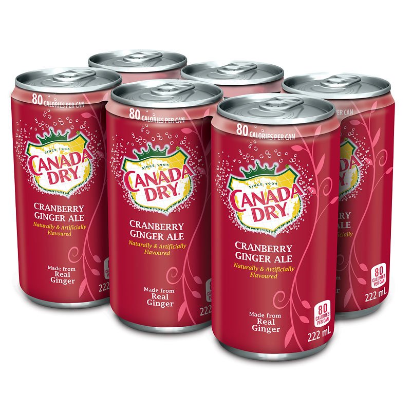 CanadaDryCranberryGingerAle [222ml]
