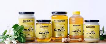 Destiny Road Liquid Honey [500g]