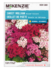 McKenzie Sweet William Mix