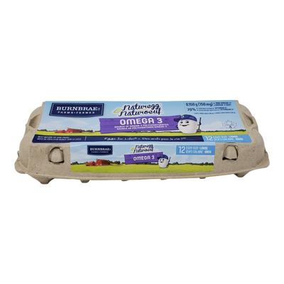Naturegg Omega 3 Large Eggs, 12 ct