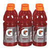 Gatorade Fruit Punch [591ml]