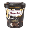 HaagenDazsCaramelExplosion [450ml]